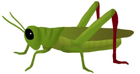 Grasshopper Clipart Transparent Background - img-Badr