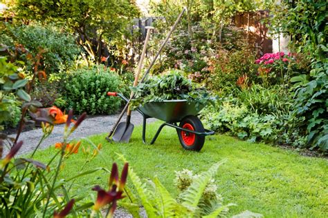 Gartenarbeit » Welche Maßnahmen zu welcher Jahreszeit?