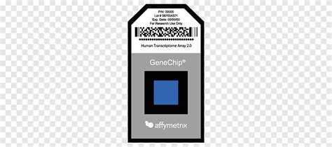 Affymetrix DNA microarray Microarray analysis techniques Gene chip ...