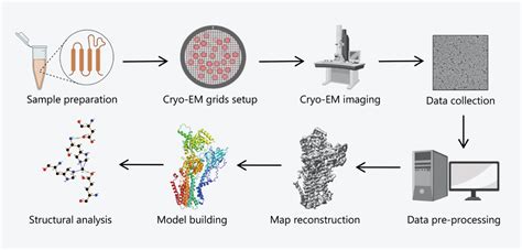 Cryo-EM Single Particle Analysis Technology | CryoEM-Solutions