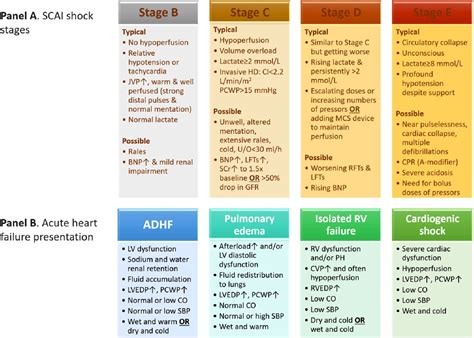 Frontiers | Revisiting nitrates use in pre-shock state of contemporary cardiogenic shock ...