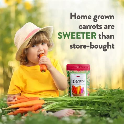 10 Varieties Rainbow Carrot Seeds - Homegrown Garden