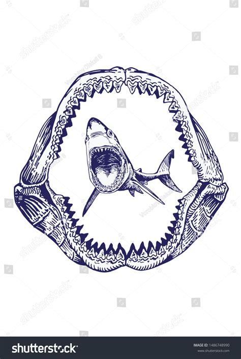 Graphical Shark Jaw Isolated On White: vector de stock (libre de ...