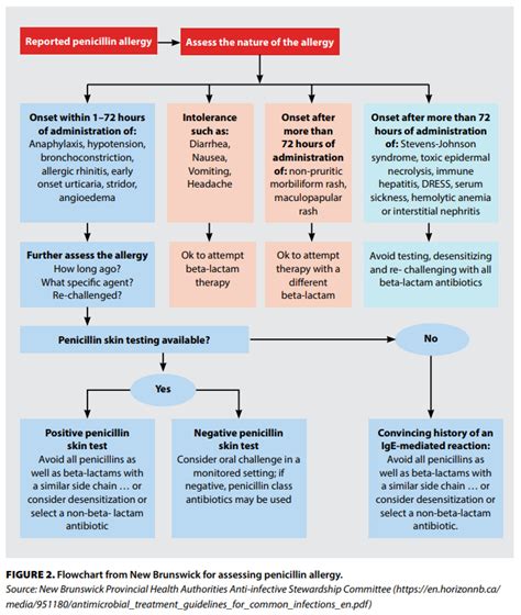 Guest Post: Beta-Lactam Allergy: Benefits of De-Labeling Can Be ...