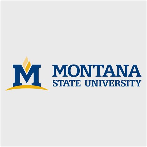 College Wall Decals - College Team Logos - Montana State University ...