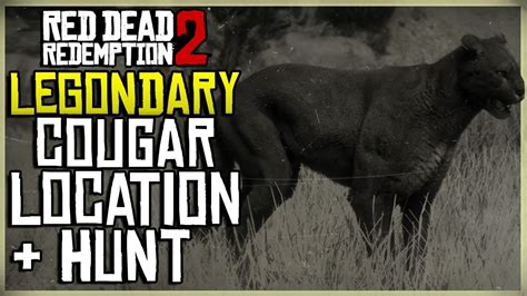 Where To Find And Hunt The Legendary Cougar In Red Dead Redemption 2 – Otosection