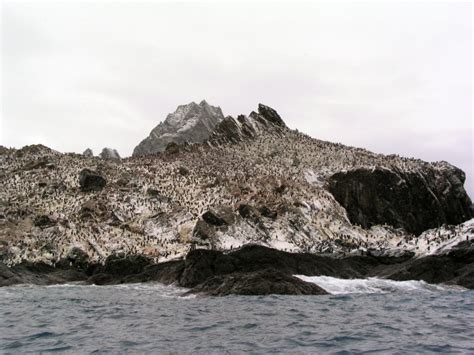 Photos and information on Elephant Island in Antarctica.