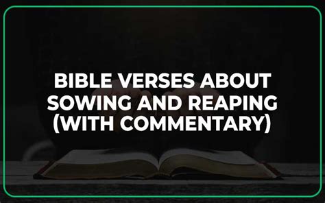 25 Bible Verses About Sowing And Reaping (With Commentary) - Scripture ...