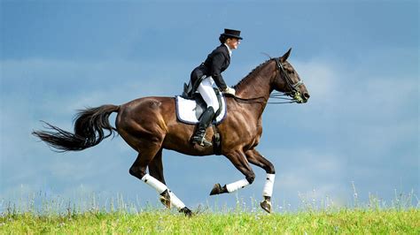 Equestrian Wallpapers - Top Free Equestrian Backgrounds - WallpaperAccess