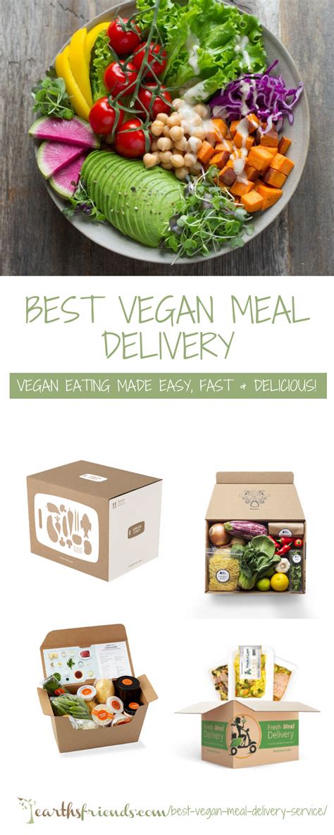 Organic Vegan Home Delivery Meals - nolyutesa