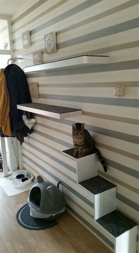 30+ Easy DIY Cat Shelves Ideas That Will Wow Them – OBSiGeN