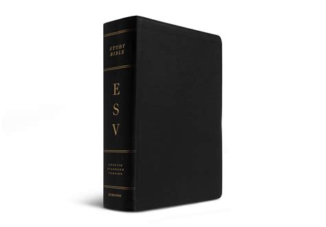 ESV Study Bible, Large Print (Black, Indexed) - English Standard ...