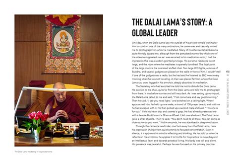 The Dalai Lama | Book by Ginger Chih, His Holiness the Fourteenth Dalai ...