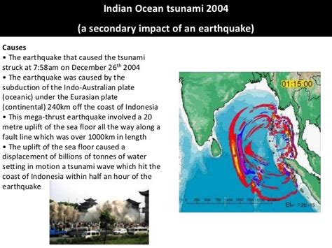 Indian ocean tsunami case study