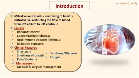 A Case of Rheumatic valvular heart disease with Mitral Stenosis