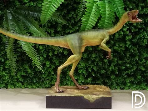 Compsognathus Life Size by Dino Dream - Dan's Dinosaurs