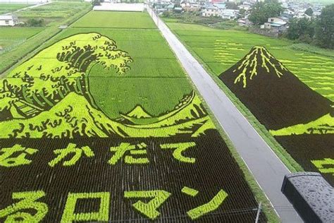 The Autumn Rice Field Art of Aomori - Aomori - Japan Travel