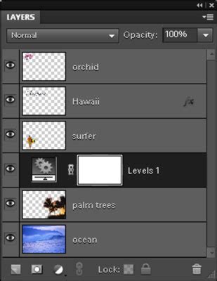 Understanding the Types of Layers in Photoshop Elements 9 - dummies