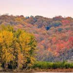 The Green Tree Inn of Elsah: Bed and Breakfast in Illinois