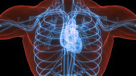 What Are the Most Common Side Effects of Eliquis? - Israel Pharm