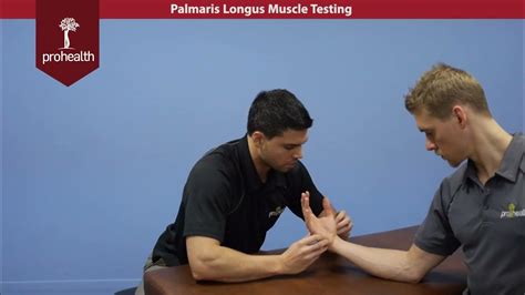 Palmaris Longus Muscle Test Palp Dr Vizniak Muscle Manual - YouTube