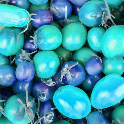 20 Naturally Blue Fruits (+ Foods List) - Insanely Good