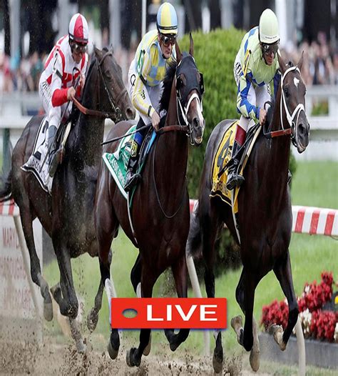 Watch Horse Racing Live Stream APK for Android Download