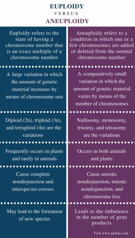 Difference Between Euploidy and Aneuploidy | Definition, Variations, Causes and Differences