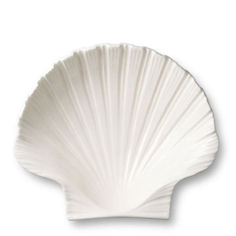 Shell Platter | Platters, Earthenware ceramics, Shell dishes