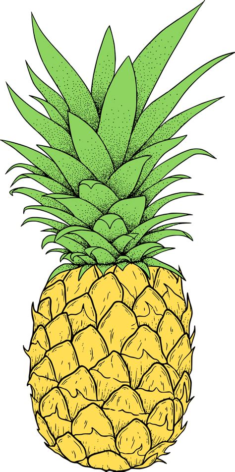 Clipart Pineapple