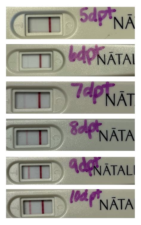 Positive Pregnancy Test Results Faint Line