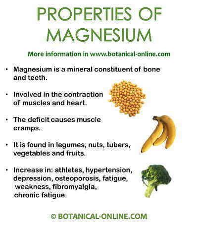 Properties of magnesium – Botanical online