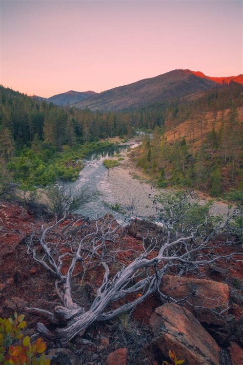 Looking out over the Coastal Range of Oregon [OC] [1728x2160] : r/EarthPorn