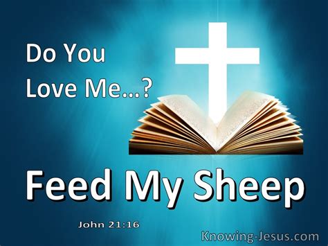 John 21:13 Do You Love Me. Feed My Sheep (utmost)06:19