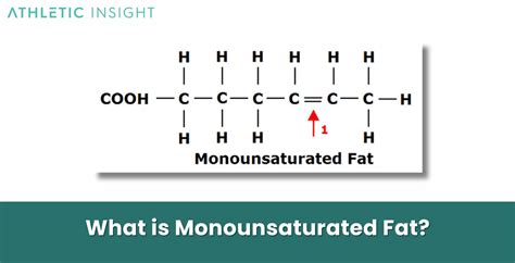 Monounsaturated Fats Structure