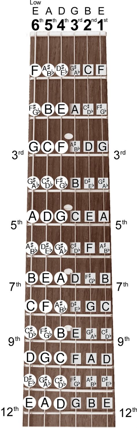 Guitar Note Chart | E major Chord | B Major Chord