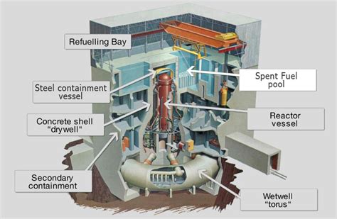 The Fukushima Daiichi Nuclear Disaster – Yu Lung Yeung