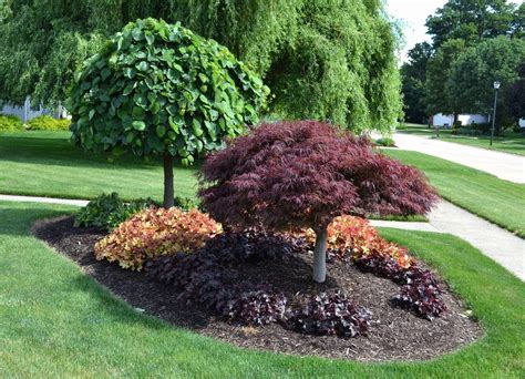 Deer Resistant Dwarf Trees For Landscaping — Randolph Indoor and Outdoor Design