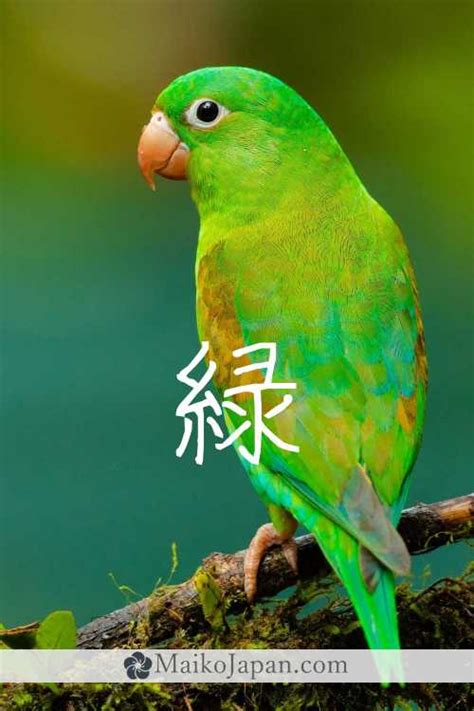 [緑] Handwritten Kanji for green and its Readings, Radical and Usage | Maiko Japan