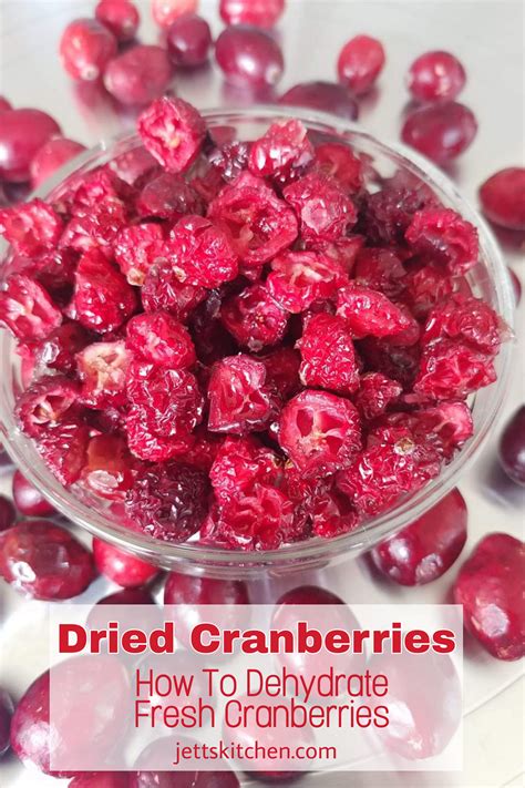 Dried Cranberries; How To Dehydrate Fresh Cranberries - Jett's Kitchen