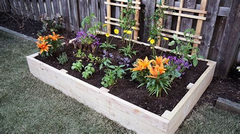 Build a DIY Raised Garden Bed