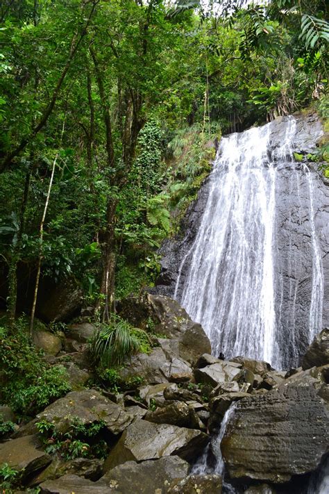 5 Waterfalls to Visit in Puerto Rico | Waterfall, Puerto rico trip, Puerto rico pictures