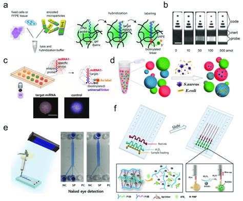 Nucleic acid-based biosensors. (a-d) Multiplex analyte detection using ...