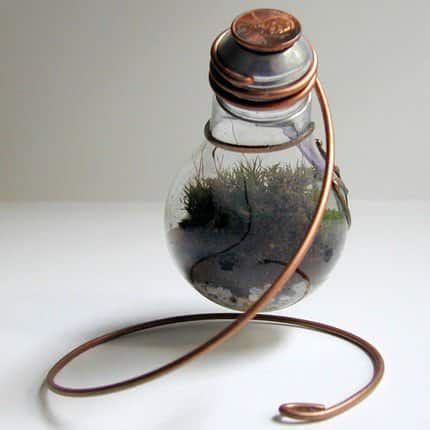 Terrarium Made From Discarded Light Bulb • Recyclart