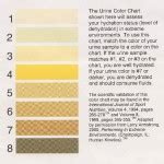 Urine Color Chart