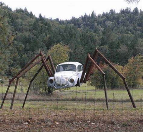 Thanks, I hate car spiders : r/TIHI