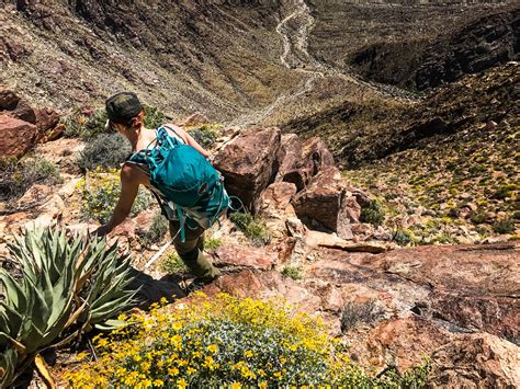 6 Tips for Better Desert Hiking - Outdoor Project