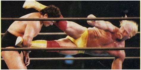 Hulk Hogan's Best Matches, According To Cagematch.net