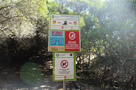 Llandudno Beach: a fancy beach for surfers in Cape Town, South Africa