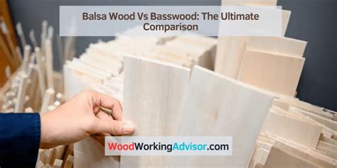 Balsa Wood Vs Basswood: The Ultimate Comparison – Woodworking Advisor